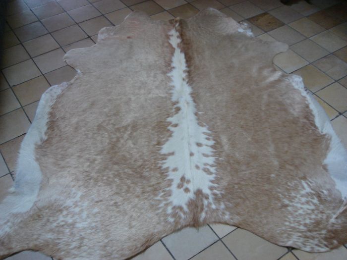 Blond/witte koeienvacht